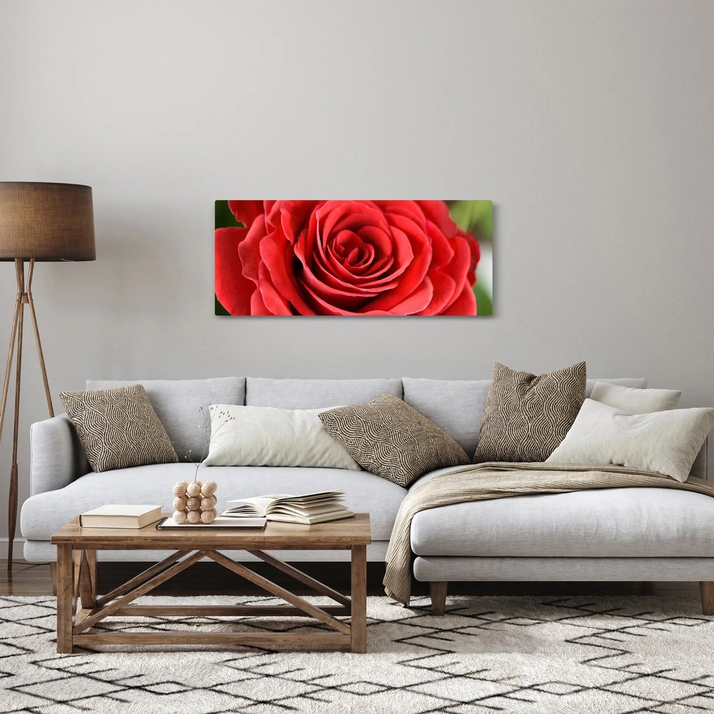 Tablou - Flori de trandafir (120x50 cm)