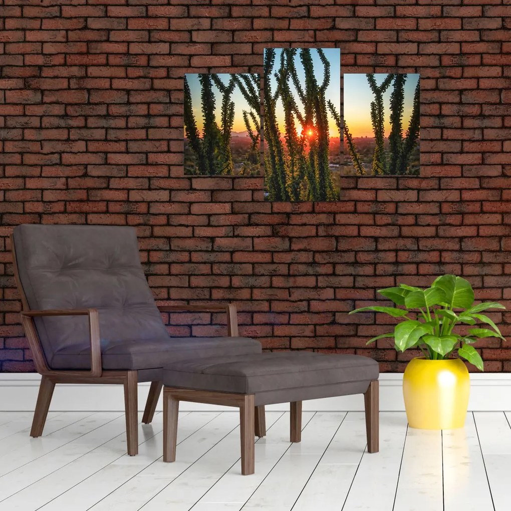 Tablou - Plante (90x60 cm)