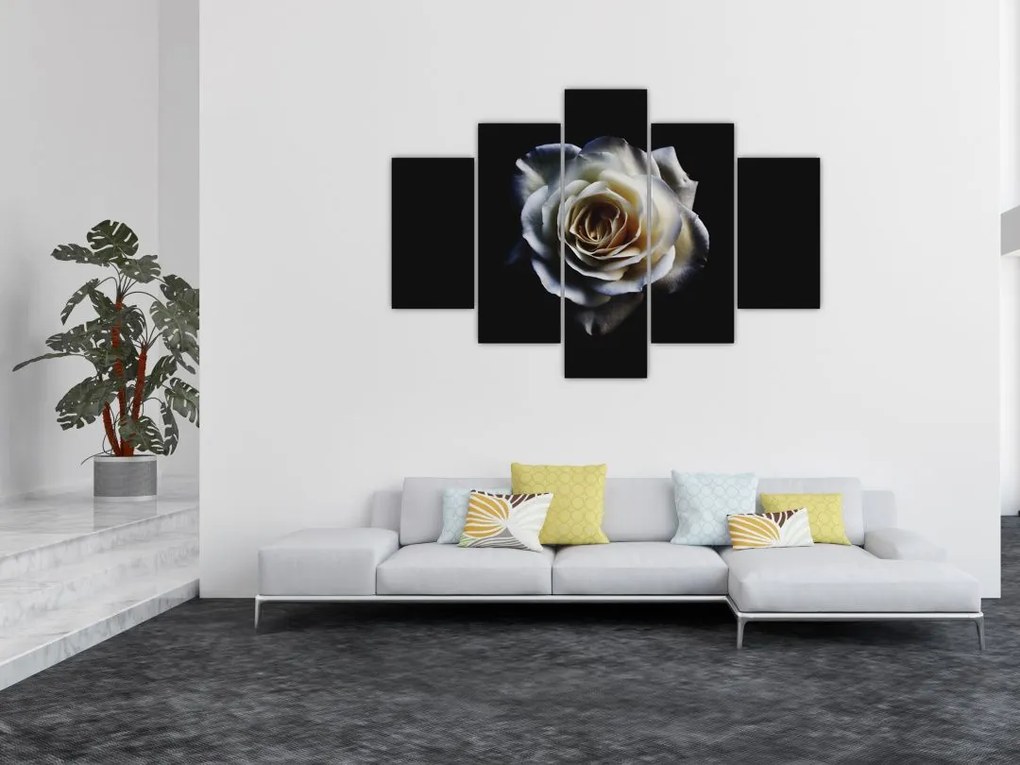Tablou cu trandafir alb (150x105 cm)