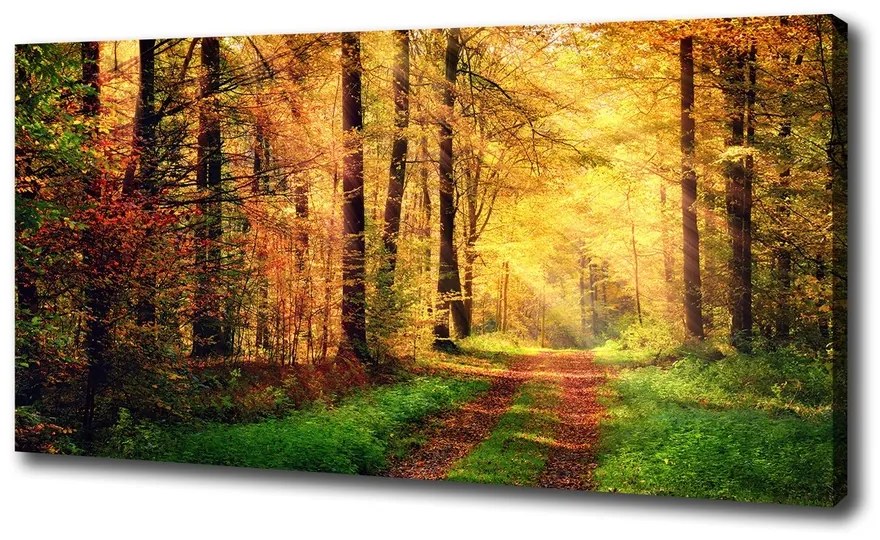 Pictură pe pânză Pădure în toamna