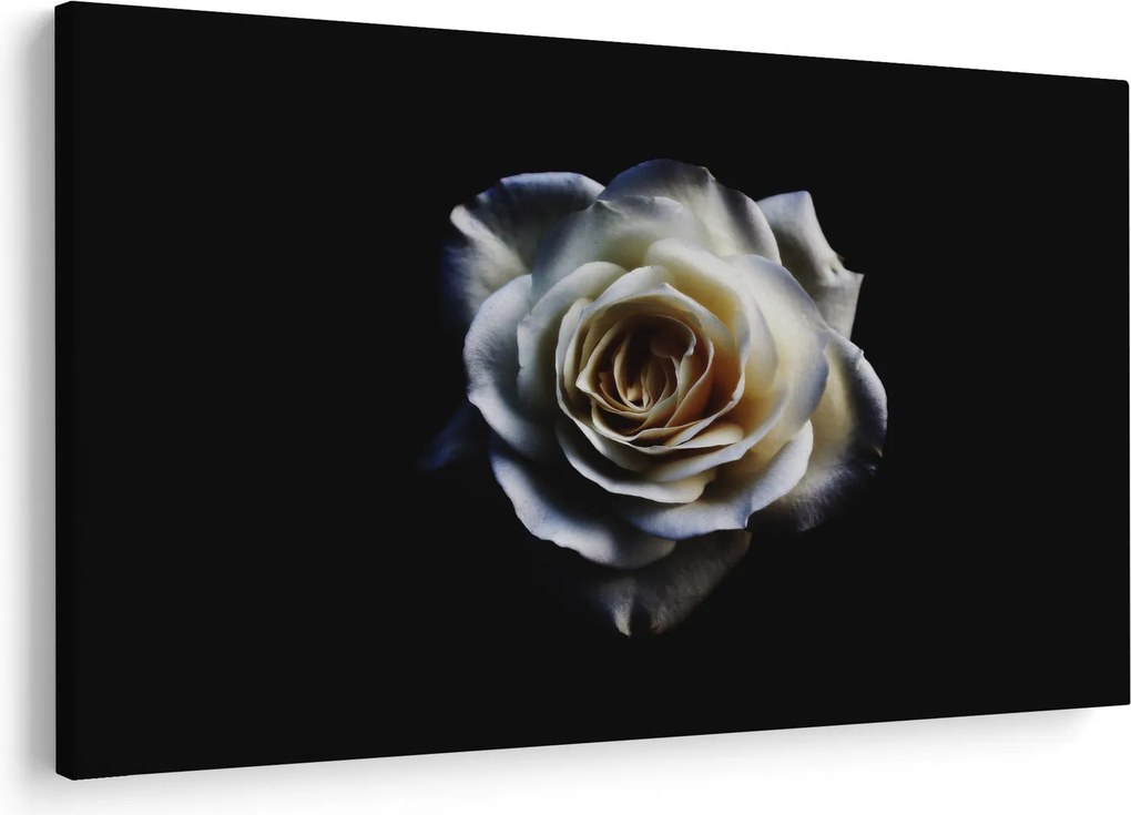 Tablou cu trandafir alb (90x60 cm)