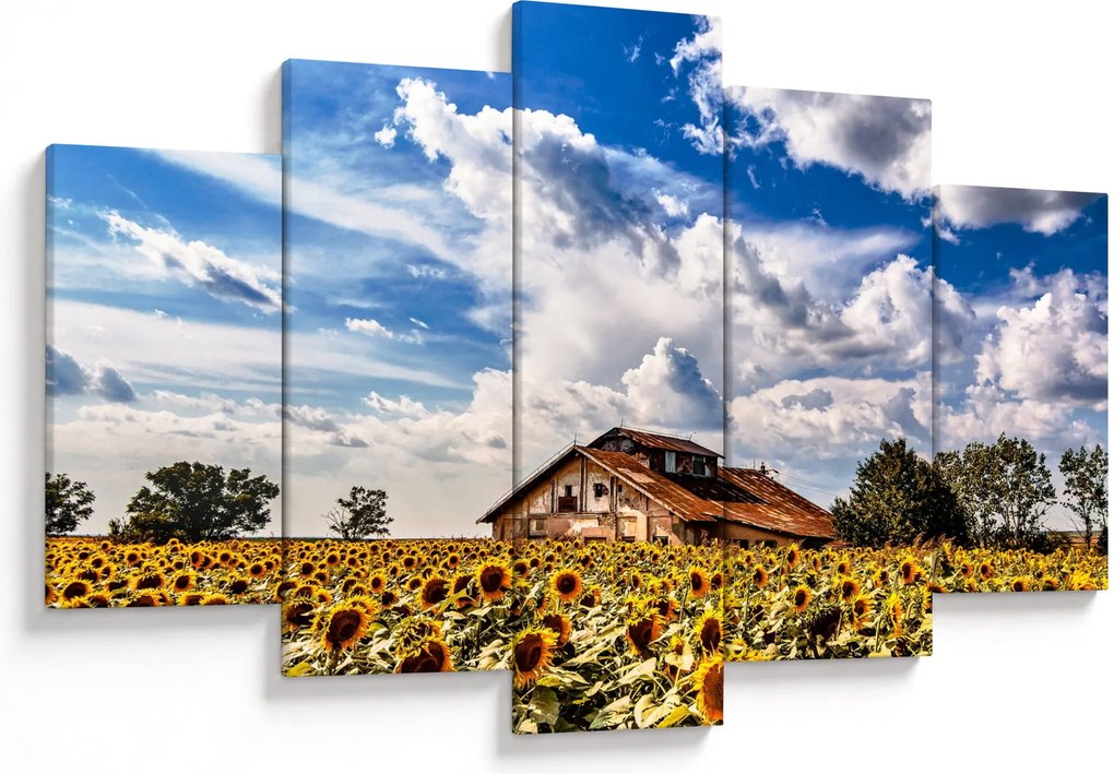 Tablou cu câmp de floarea soarelui (150x105 cm)