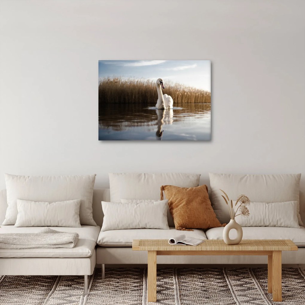 Tablou cu lebăda (70x50 cm)