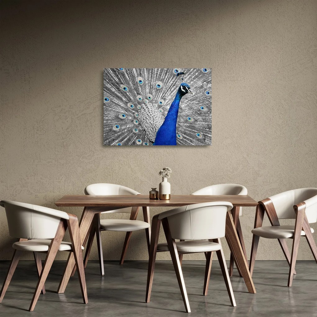 Tablou pe sticlă - păun albastru (70x50 cm)