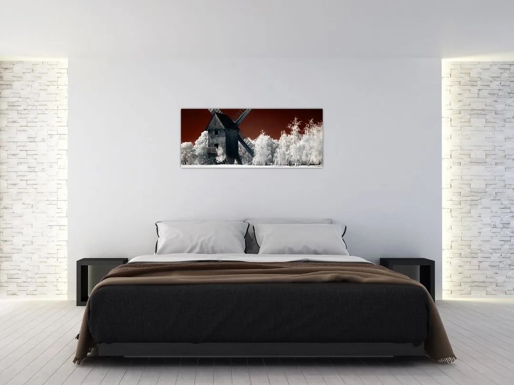Tablou cu moară (120x50 cm)