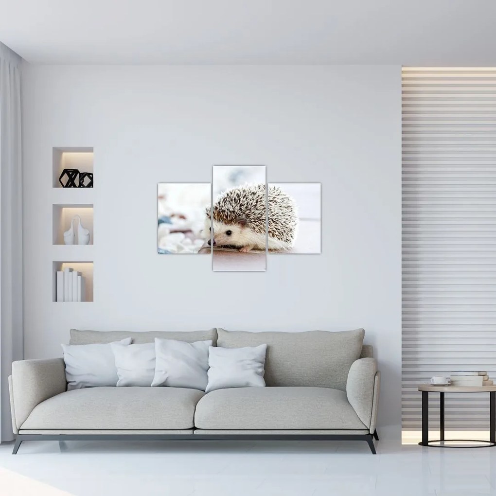 Tablou cu arici (90x60 cm)