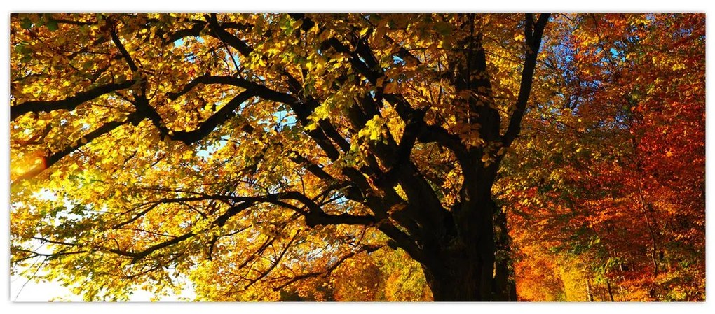 Tablou cu copac toamna (120x50 cm)