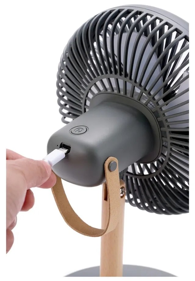 Veioză verde cu ventilator cu telecomandă (înălțime 26 cm) Beyond – Gingko