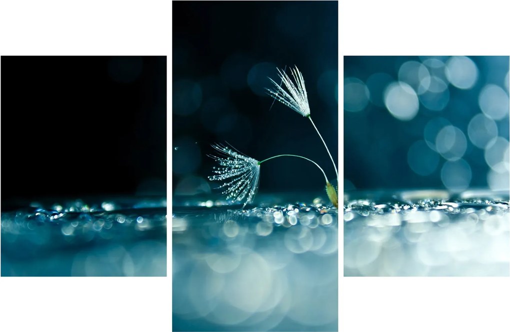 Tablou - Macro (90x60 cm)