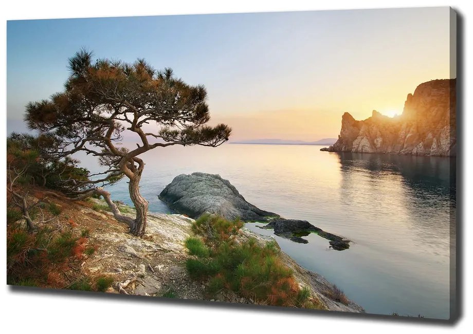 Tablou pe pânză Arborele de mare