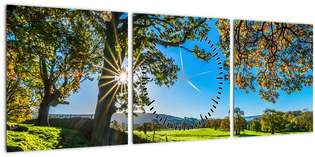 Tablou Privire la câmp (cu ceas) (90x30 cm)