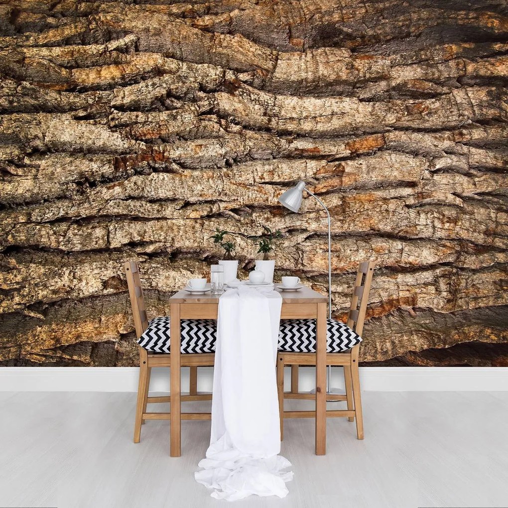 Fototapet - Coaja de copac (152,5x104 cm)