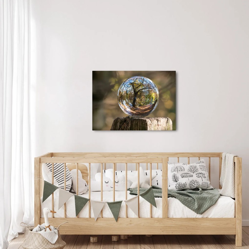 Tablou - Reflecție intr-o sferă transparentă (70x50 cm)