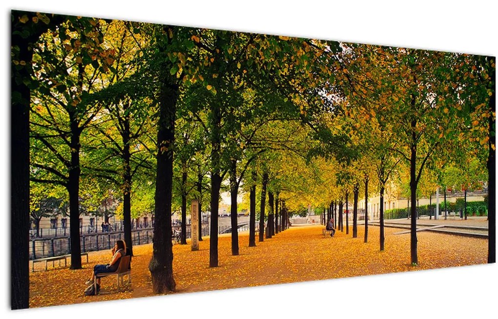 Tablou cu alee cu copaci în toamnă (120x50 cm)