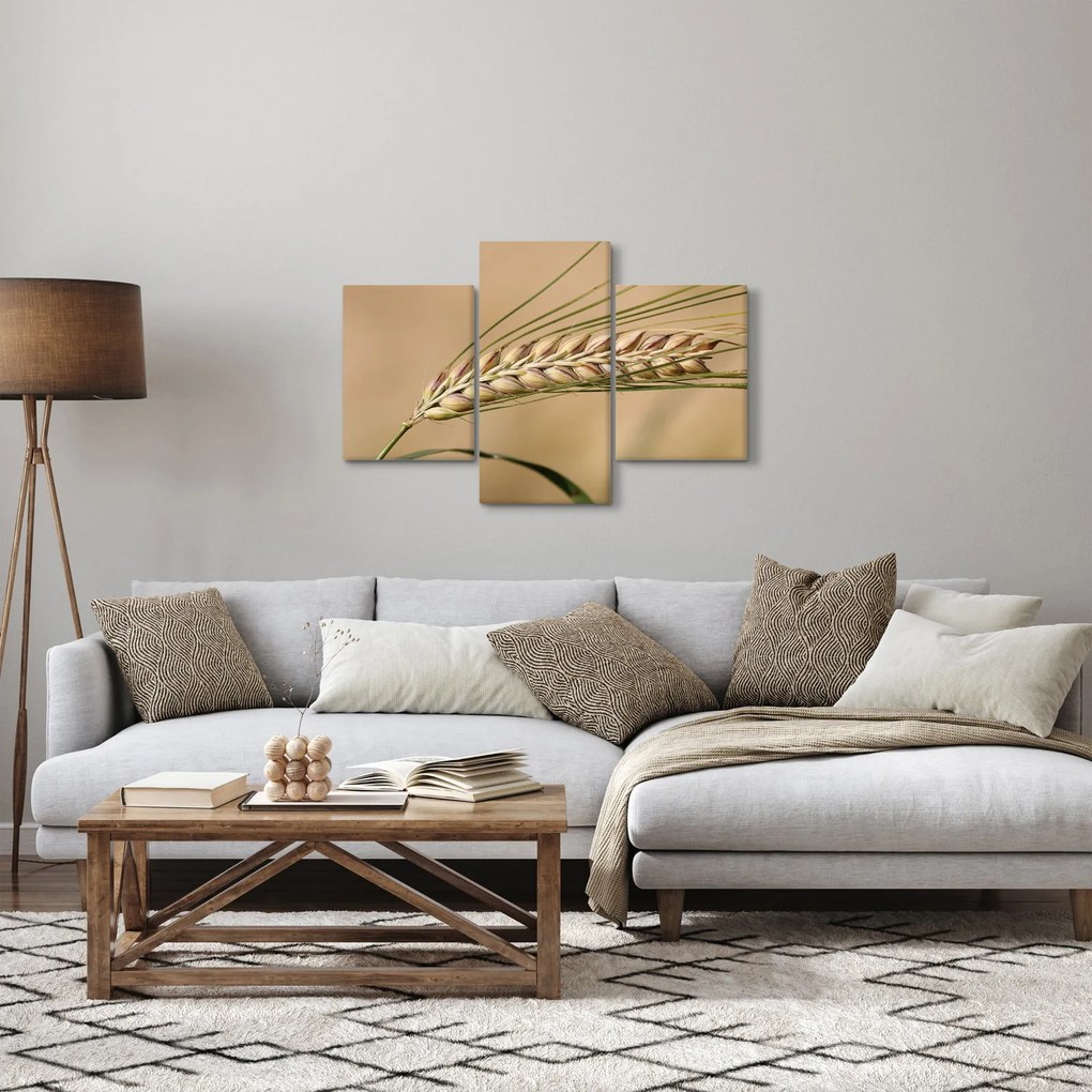 Tablou - Grâu (90x60 cm)