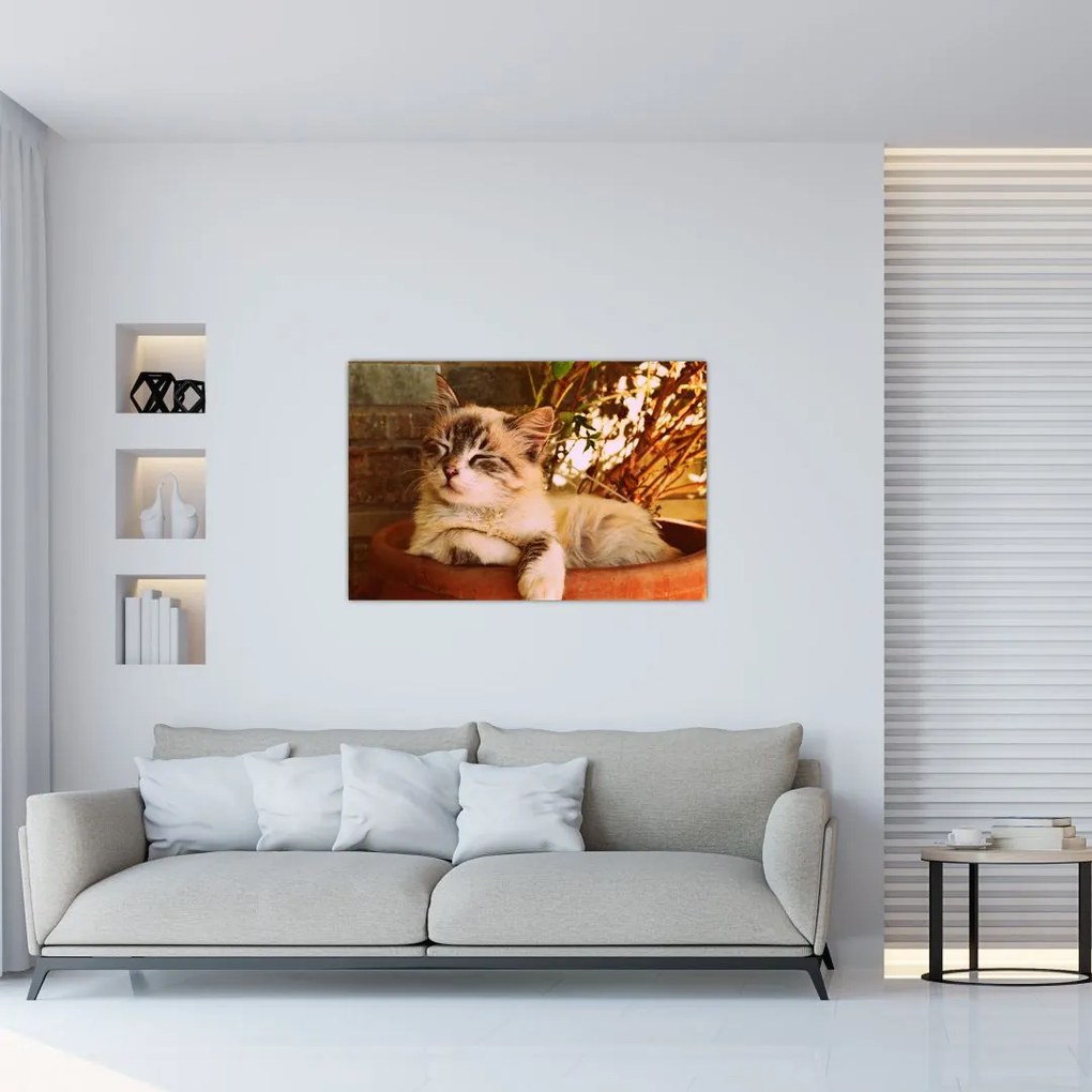 Tablou cu pisica în ghiveci (90x60 cm)