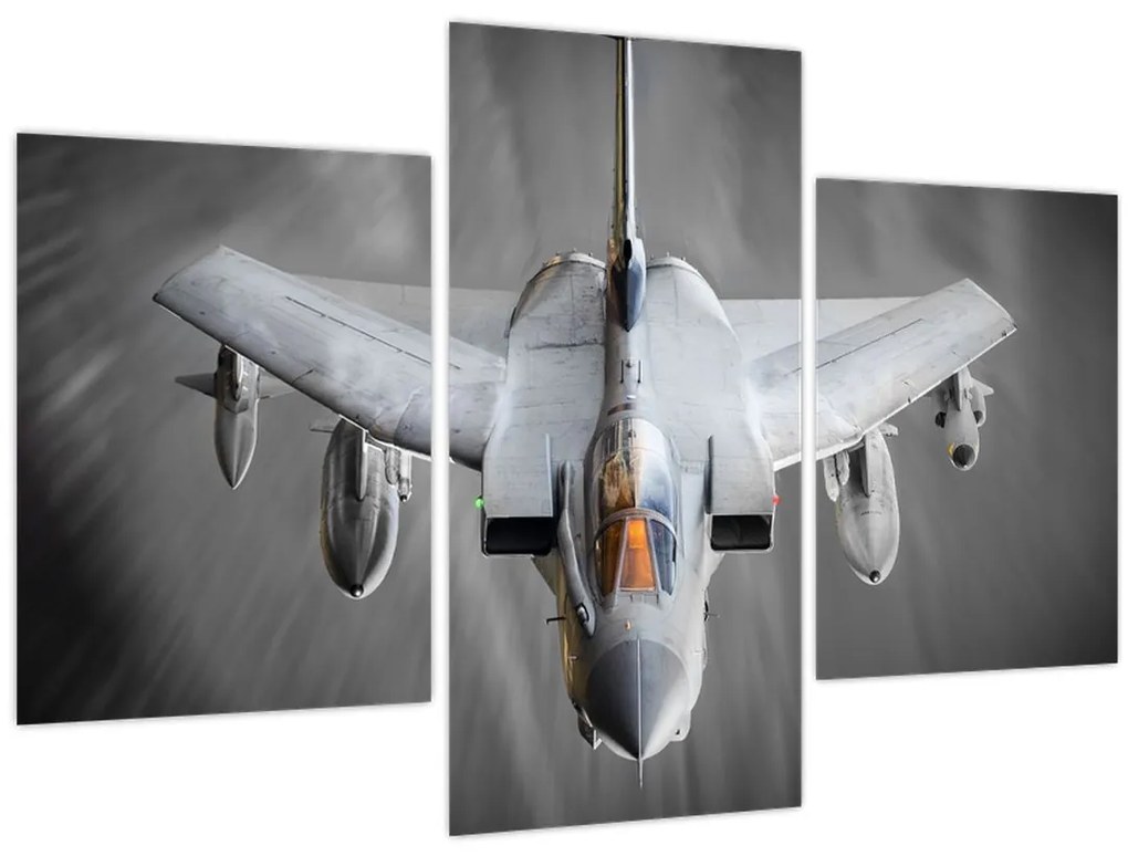Tablou - Avion de vânătoare (90x60 cm)