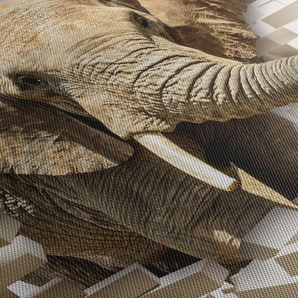 Tablou - Elefant spârgând peretele (150x105 cm)