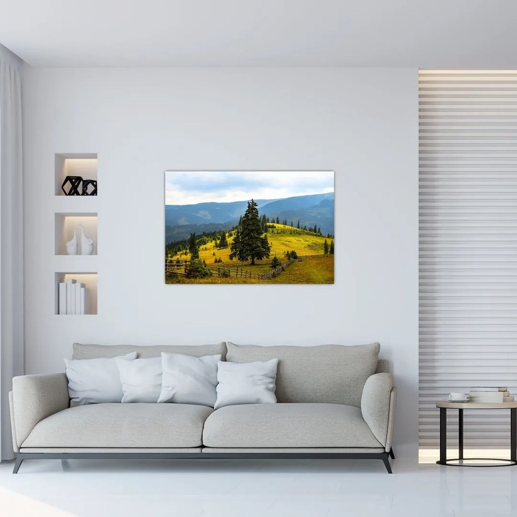 Tablou - Lunca de munte (90x60 cm)
