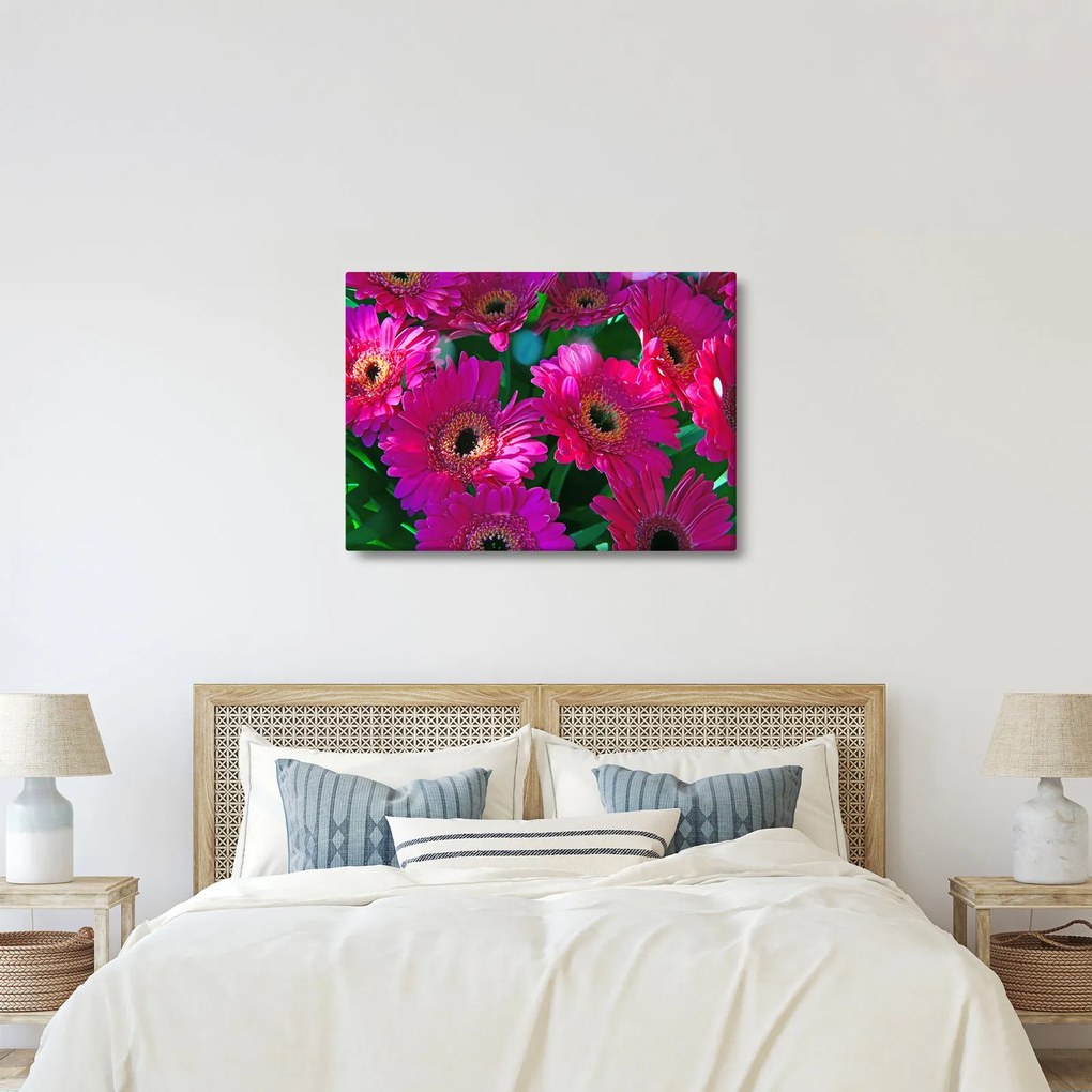 Tablou - floare (70x50 cm)