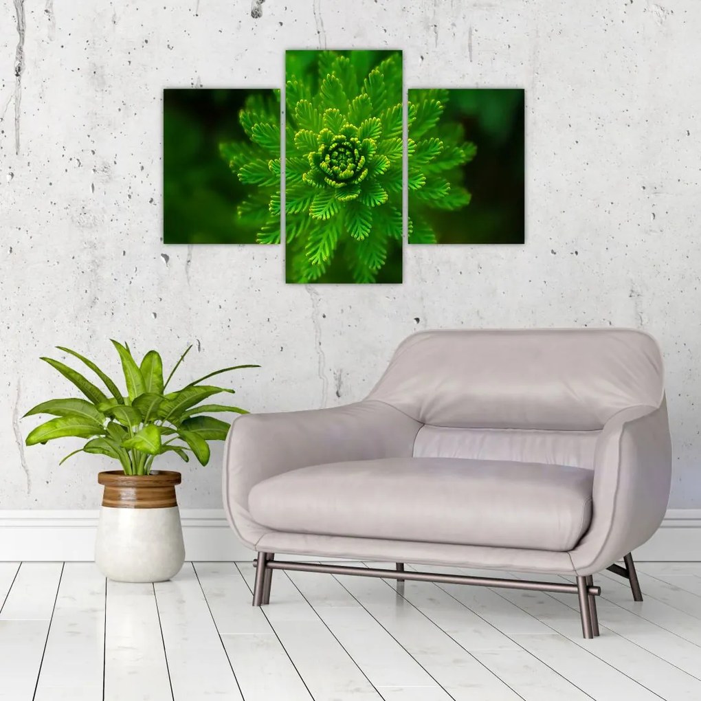 Tablou cu coniferi (90x60 cm)