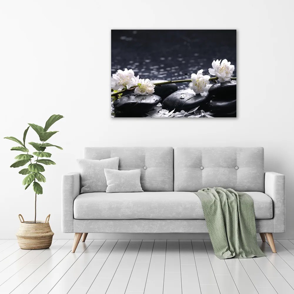 Print pe canvas Floare de cires