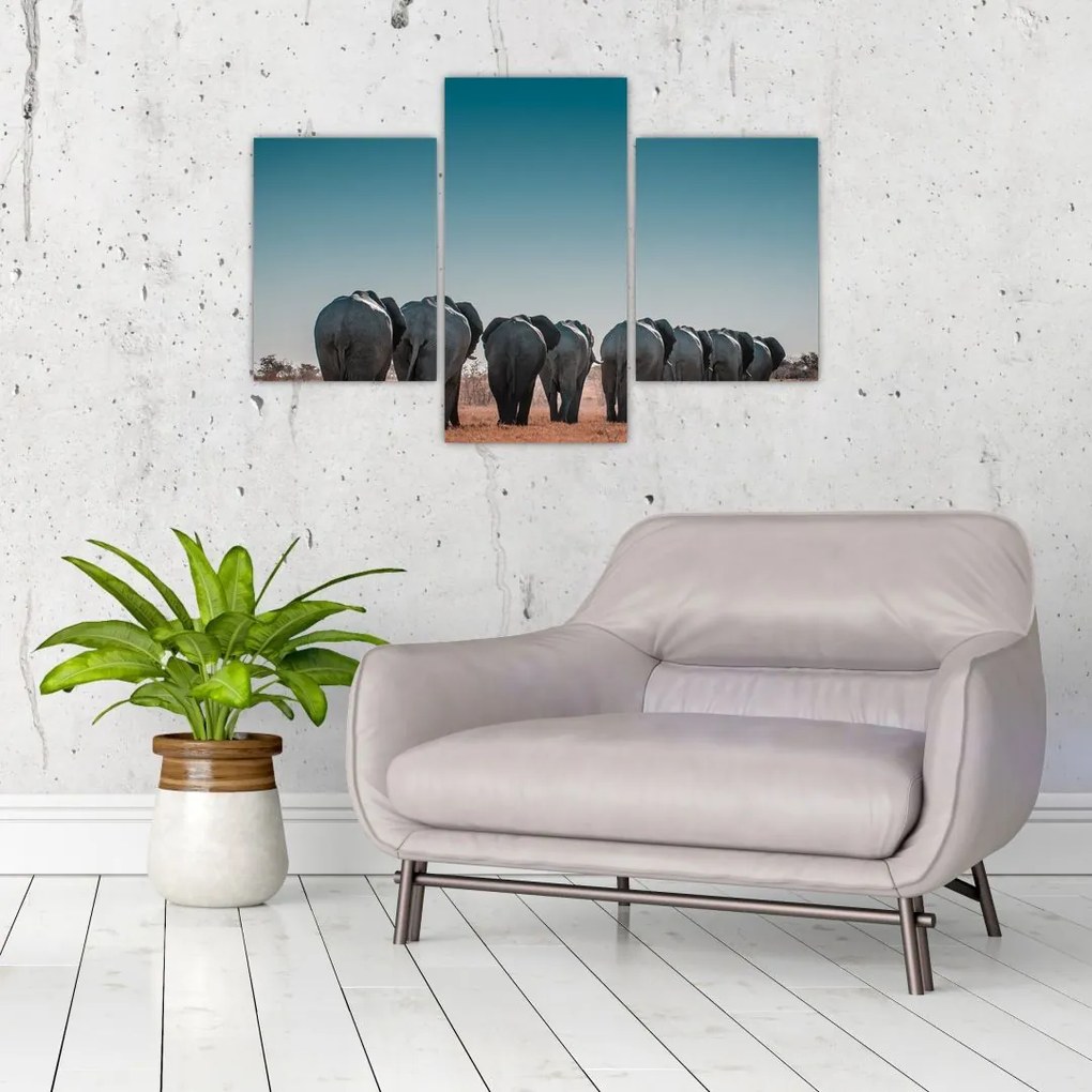 Tablou - Plecarea elefanților (90x60 cm)