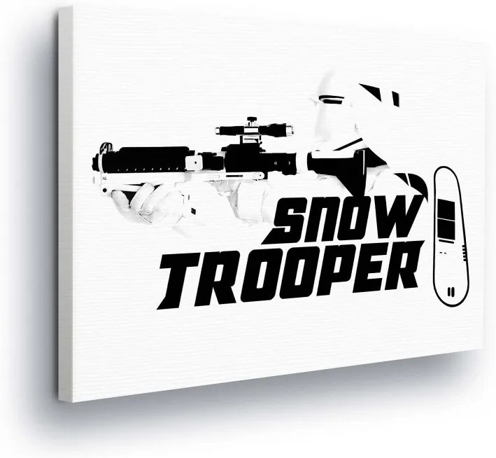 GLIX Tablou - Star Wars Snow Trooper 80x60 cm