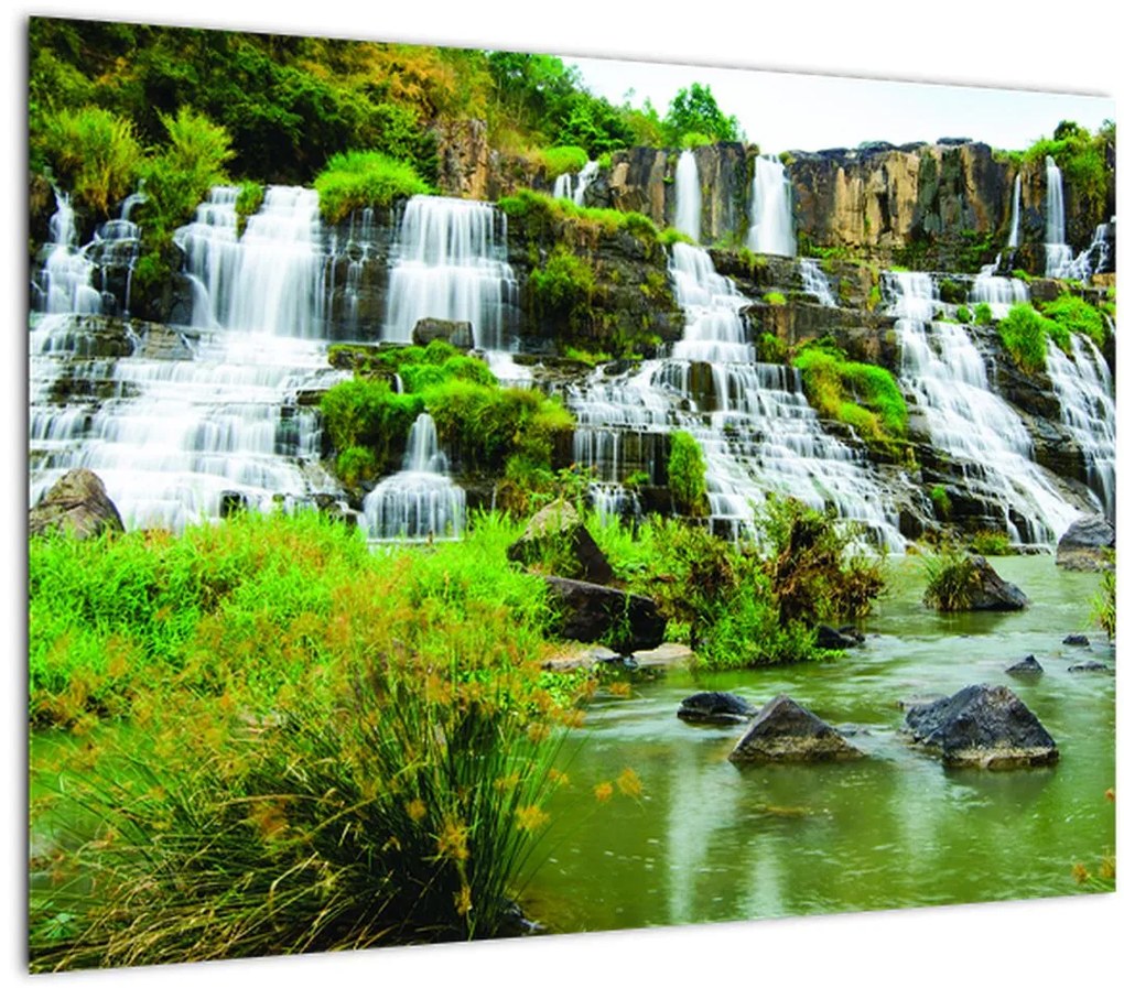 Tablou - cascade cu plante (70x50 cm)