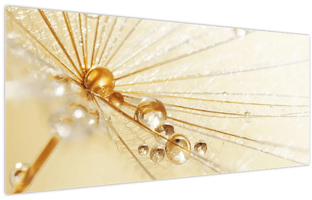 Tablou - Fotografie macro de păpădie (120x50 cm)