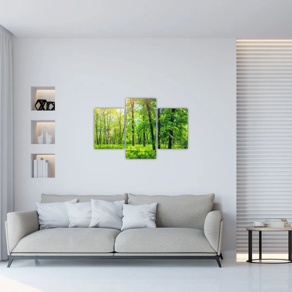 Tablou - Pădurea cu frunze de primăvară (90x60 cm)