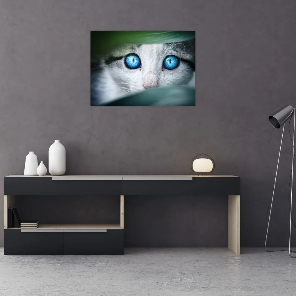 Tablou pe sticlă cu pisica (70x50 cm)