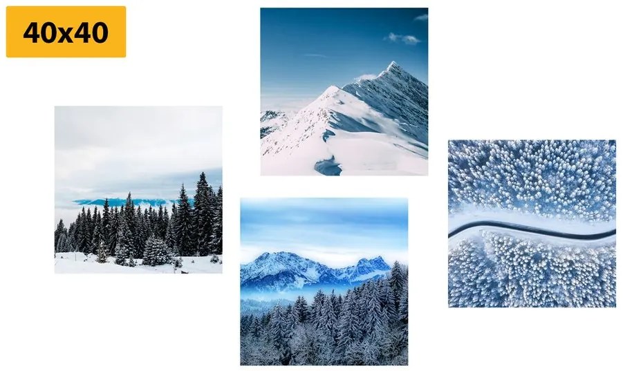 Set tablouri frumusețile naturii înzăpezite