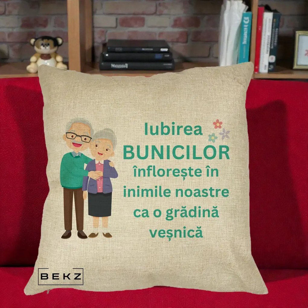 Cadou pentru Bunici - Perna Personalizata Bunicii Iubirea Infloreste Cuplu Senior Teal, 40x40 cm, Crem, Husa Detasabila, Perna Inclusa, BEKZ®