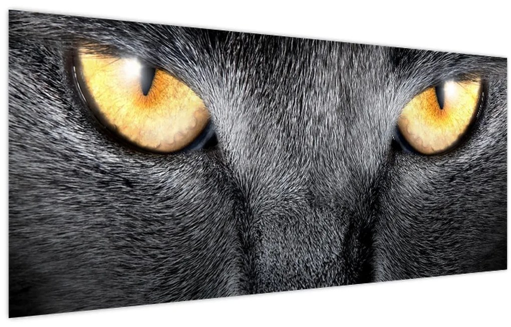 Tablou - Close up portret de o pisică (120x50 cm)