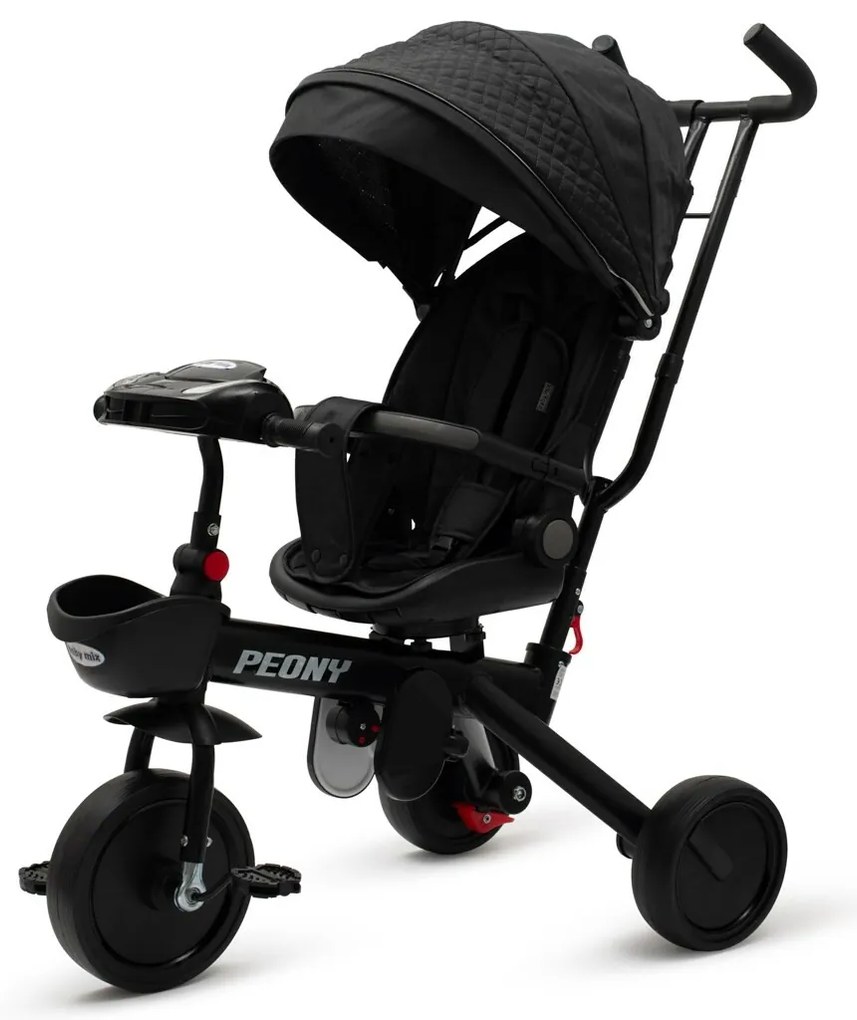 Baby Mix Triciclu pentru copii Peony EVA, negru