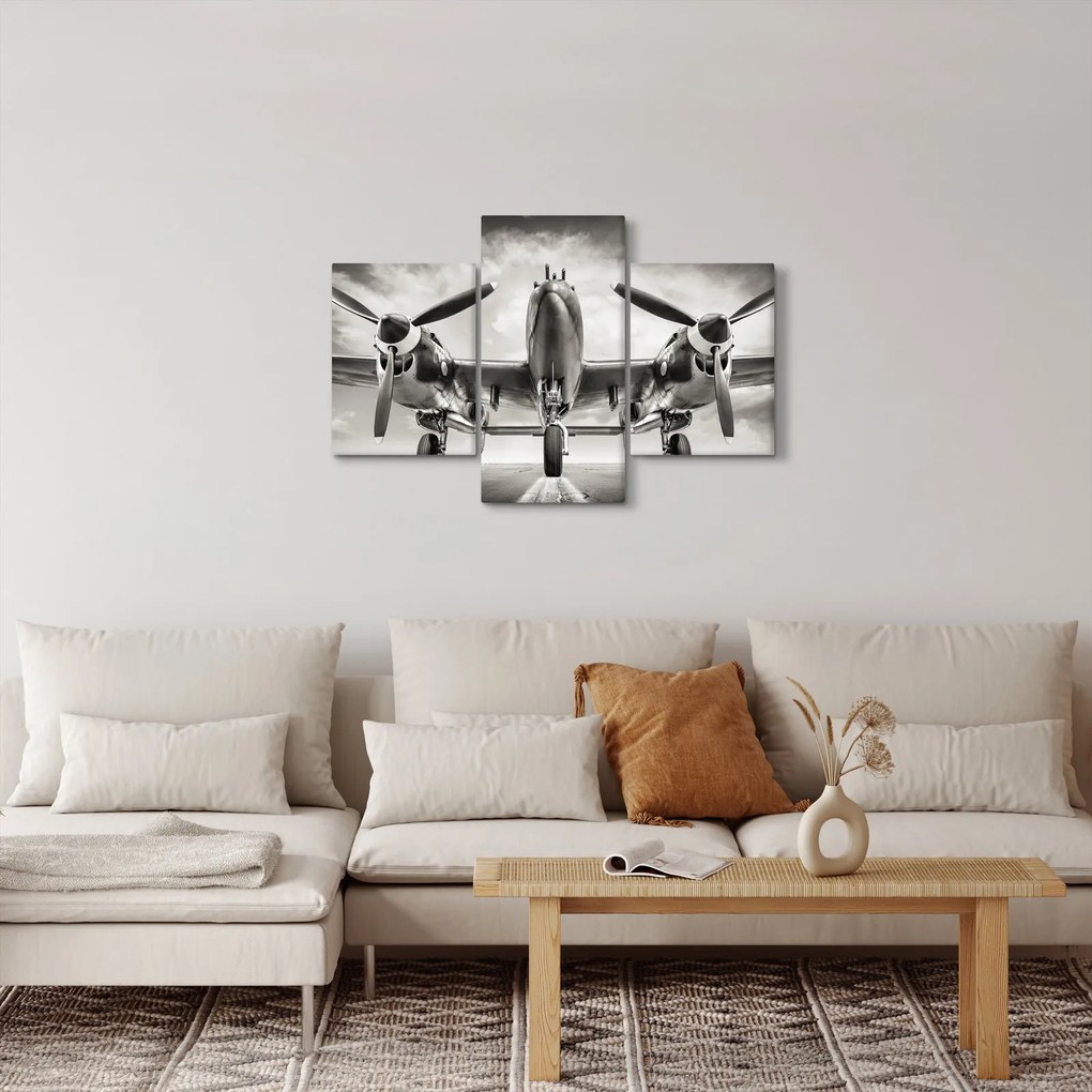 Tablou - Warbird (90x60 cm)