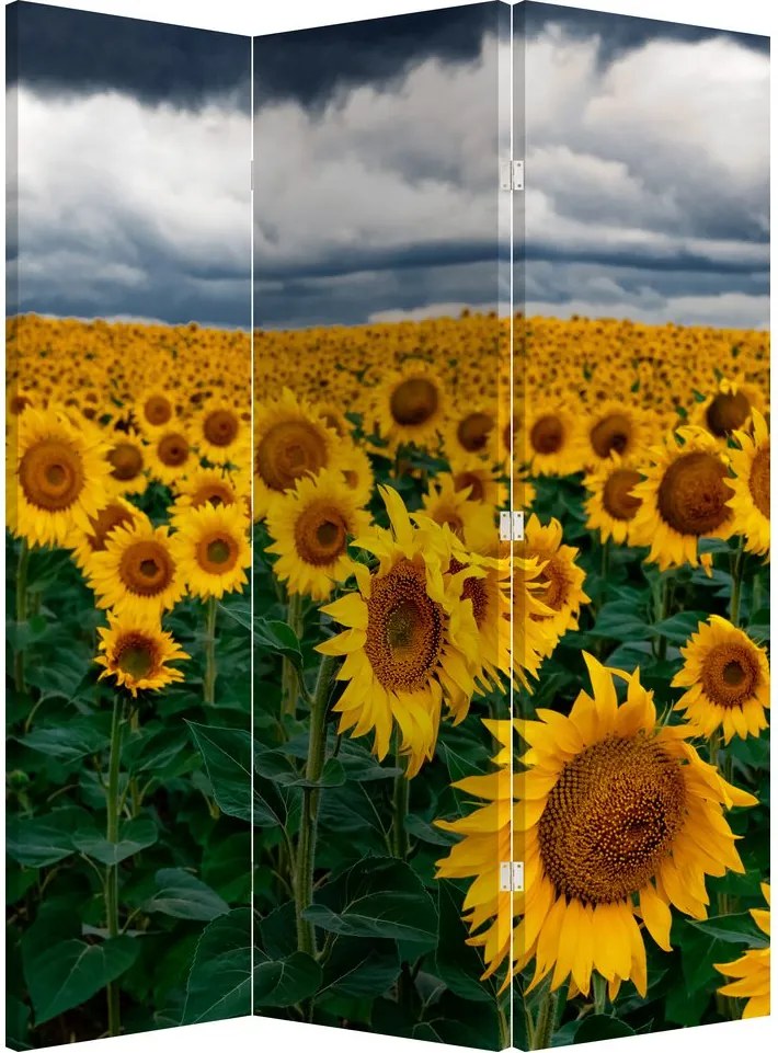 Paravan - Câmpul de floarea soarelui (126x170 cm)