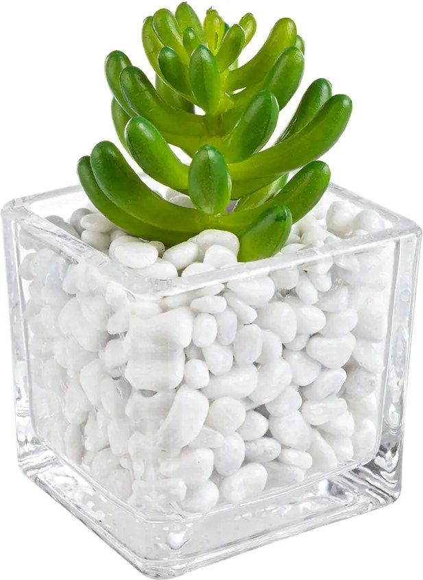 Planta artificiala suculenta in ghiveci sticla decorat cu piatra alba 5 cm x 5 cm x 7 h