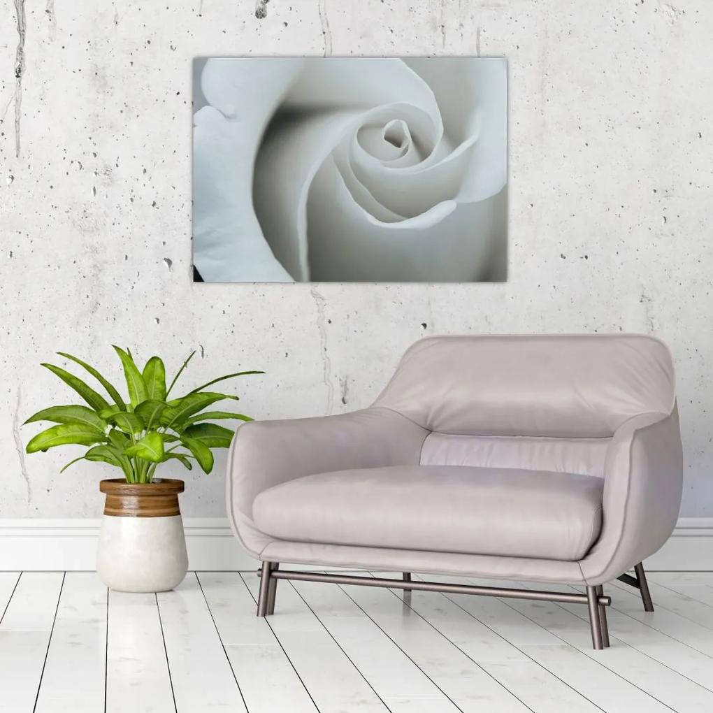 Tablou - Trandafirul alb (70x50 cm), în 40 de alte dimensiuni noi