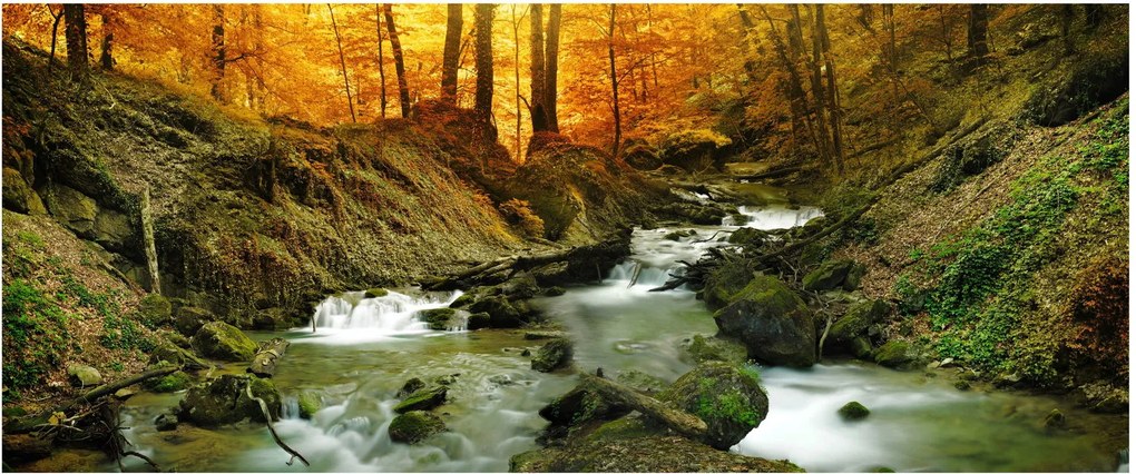 Tablou - Pădure (120x50 cm)