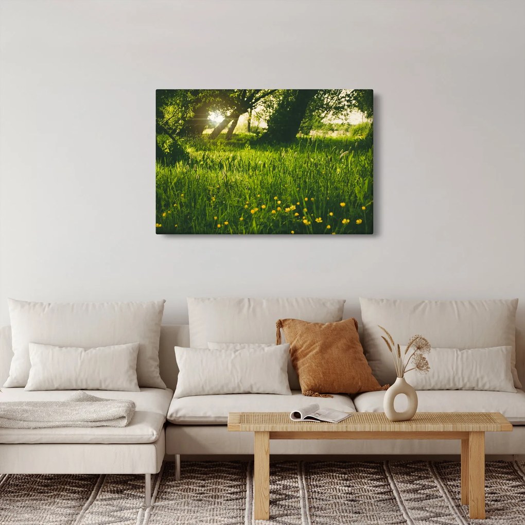Tablou cu natura - lunca (90x60 cm)