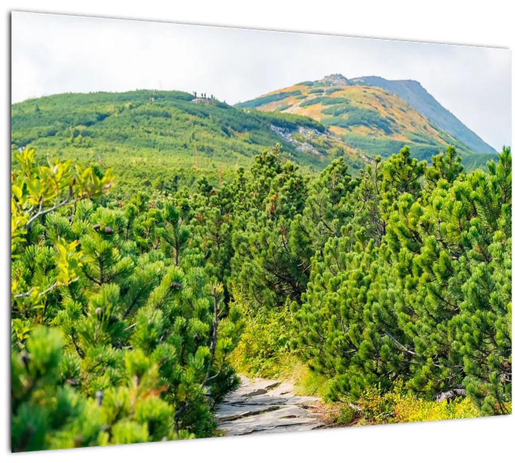 Tablou - Babi Hora, Polonia (70x50 cm)