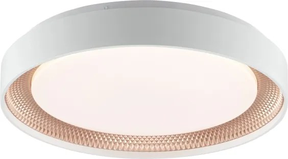 Brilliant - Plafonieră LED dimabilă WALDO LED/24W/230V alb/aur roz + telecomandă