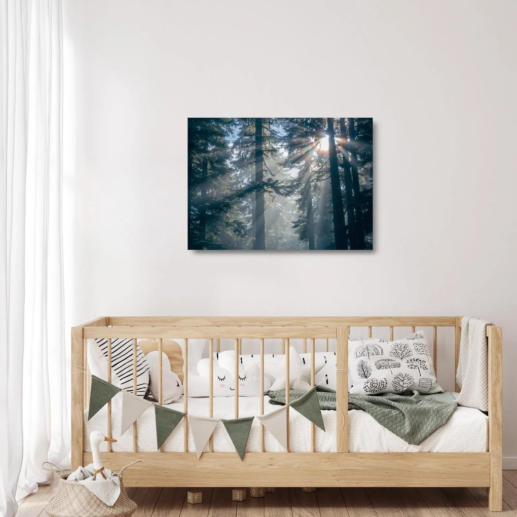 Tablou pe sticlă cu copaci și soarele translucind (70x50 cm)