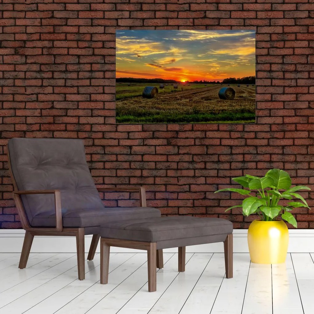 Tablou - Baloți din sat (90x60 cm)