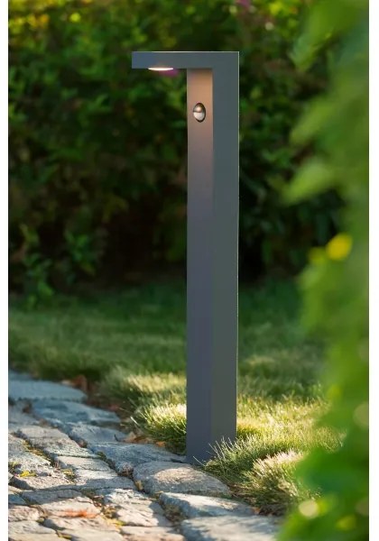 Lucide 28851/61/30 - LED lampa exterior cu senzor TEXAS-IR LED/6W/230V IP54