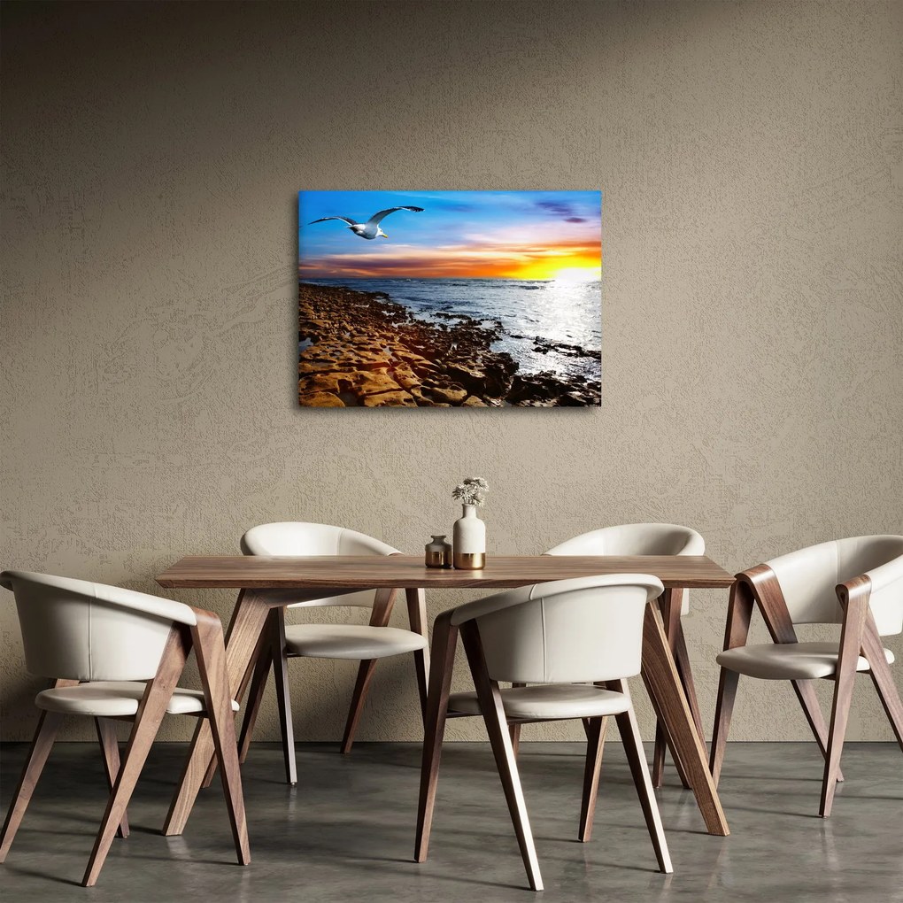 Tablou - Pescărușul zboară deasupra coastei (70x50 cm)