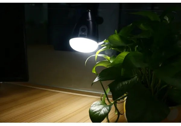 Lampă LED cu clemă LED/5W/5V/4000K