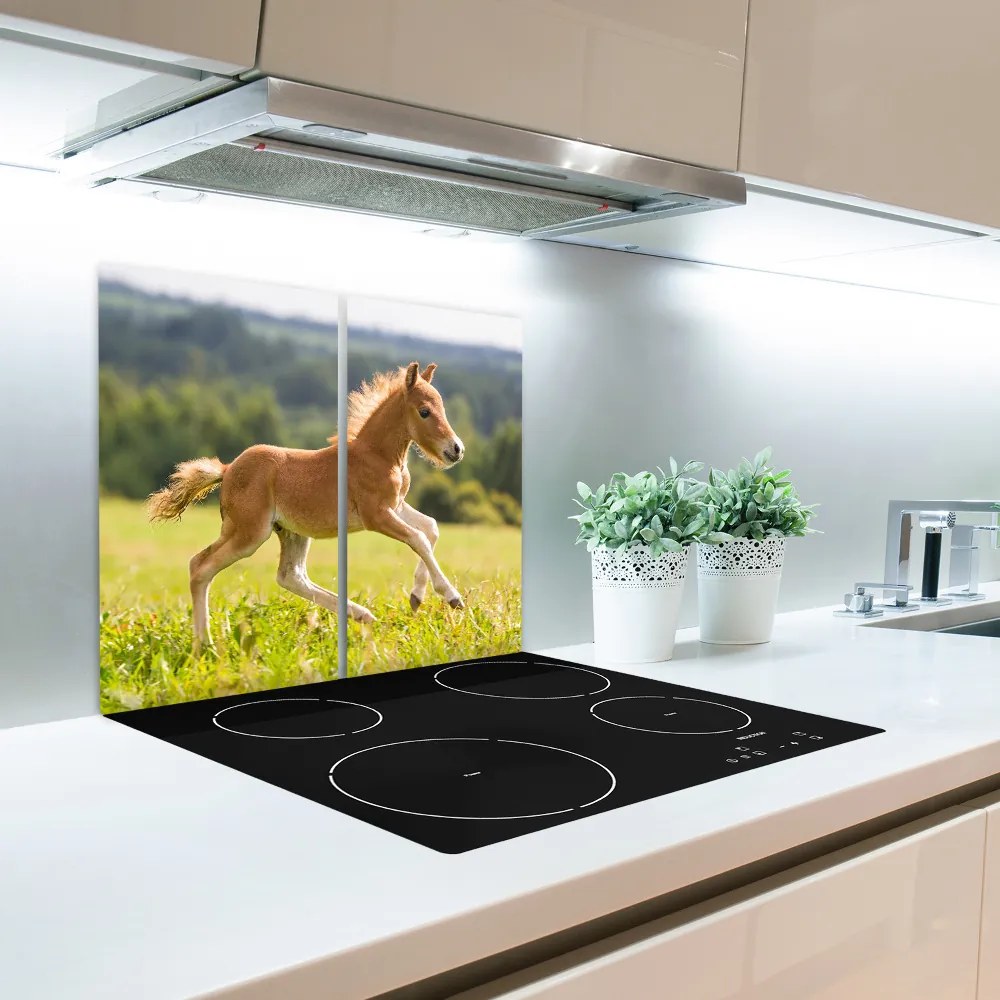 Tocator din sticla mânji de galop